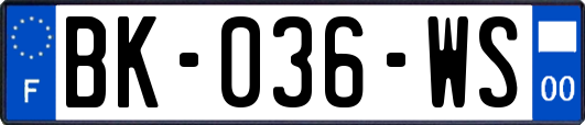 BK-036-WS