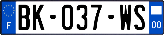 BK-037-WS