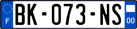 BK-073-NS