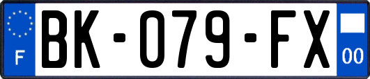 BK-079-FX