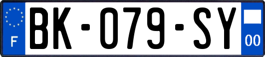 BK-079-SY