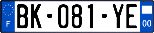 BK-081-YE