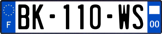 BK-110-WS