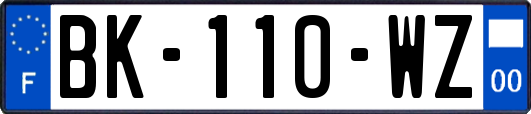 BK-110-WZ