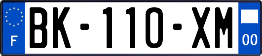 BK-110-XM