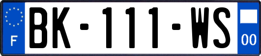 BK-111-WS