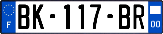 BK-117-BR