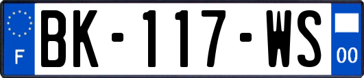 BK-117-WS