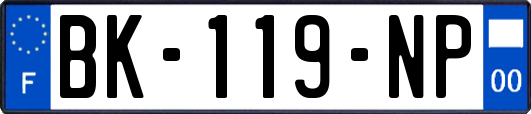 BK-119-NP