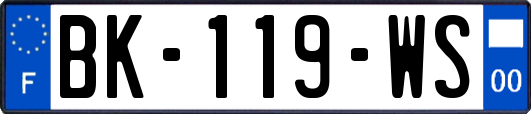 BK-119-WS