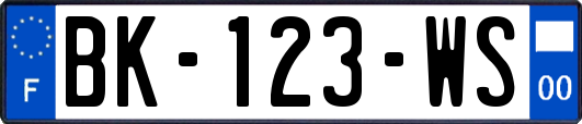 BK-123-WS