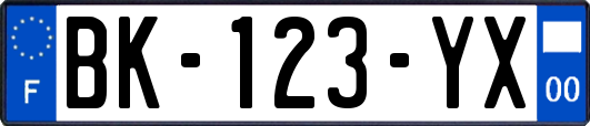 BK-123-YX