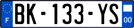 BK-133-YS