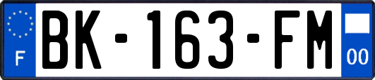 BK-163-FM