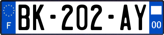 BK-202-AY