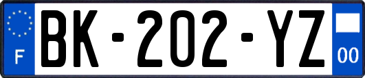 BK-202-YZ