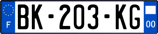 BK-203-KG