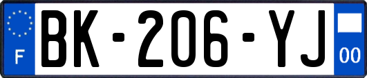 BK-206-YJ