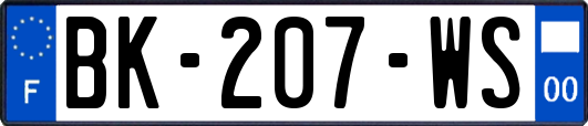 BK-207-WS