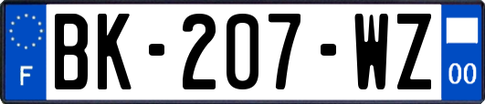 BK-207-WZ