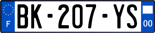 BK-207-YS