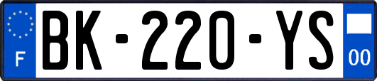 BK-220-YS