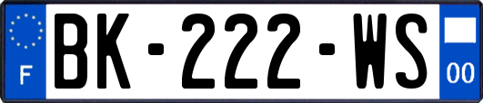 BK-222-WS