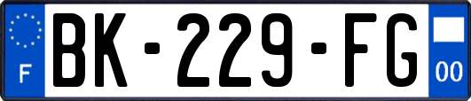 BK-229-FG