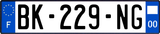 BK-229-NG