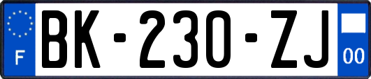 BK-230-ZJ