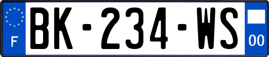 BK-234-WS