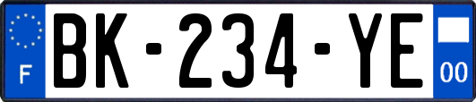 BK-234-YE