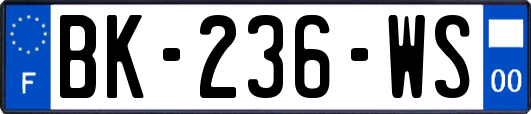 BK-236-WS