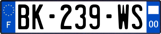 BK-239-WS