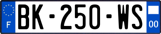 BK-250-WS