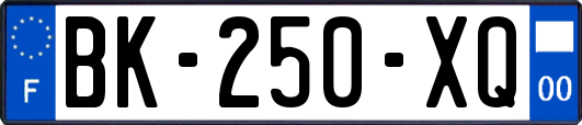 BK-250-XQ