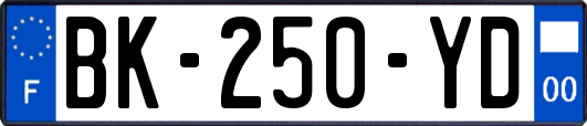 BK-250-YD