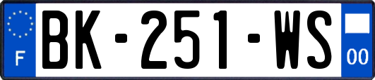 BK-251-WS