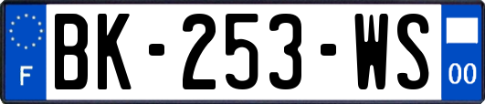 BK-253-WS