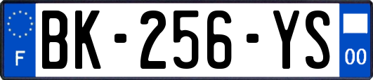 BK-256-YS