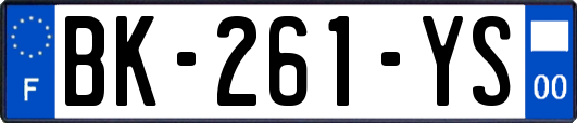 BK-261-YS