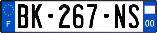 BK-267-NS