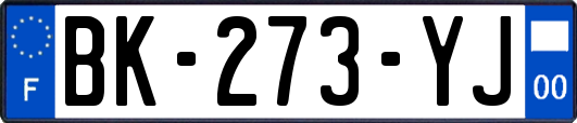 BK-273-YJ