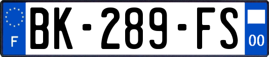BK-289-FS