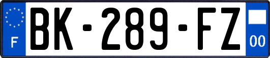 BK-289-FZ