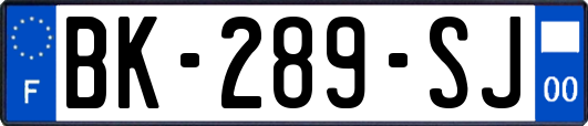 BK-289-SJ