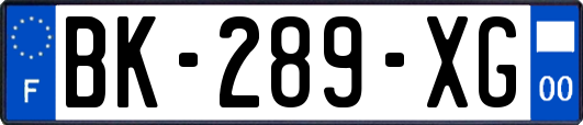 BK-289-XG