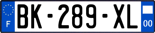 BK-289-XL