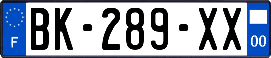 BK-289-XX