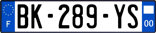 BK-289-YS